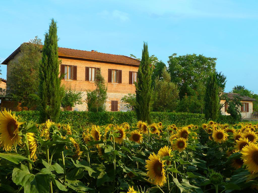 Agriturismo Santa Giuditta Sovicille Extérieur photo